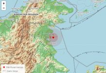 Gempa Bumi 4,8 Guncang Tarakan, Kalimantan Utara