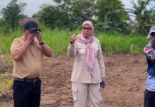 Jelang Haul Sekumpul, Walikota Banjarbaru Pastikan Kenyamanan Parkir dan Jalan Jamaah